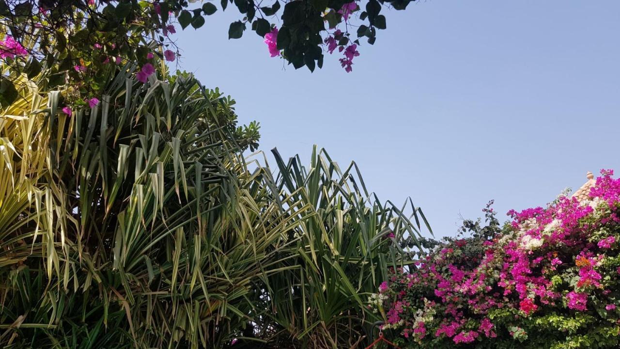 Villa Met Prive Zwembad In Residence Safari Village Saly Portudal Dış mekan fotoğraf